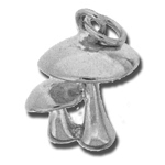 Mushrooms Charm